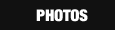 Photo Gallery